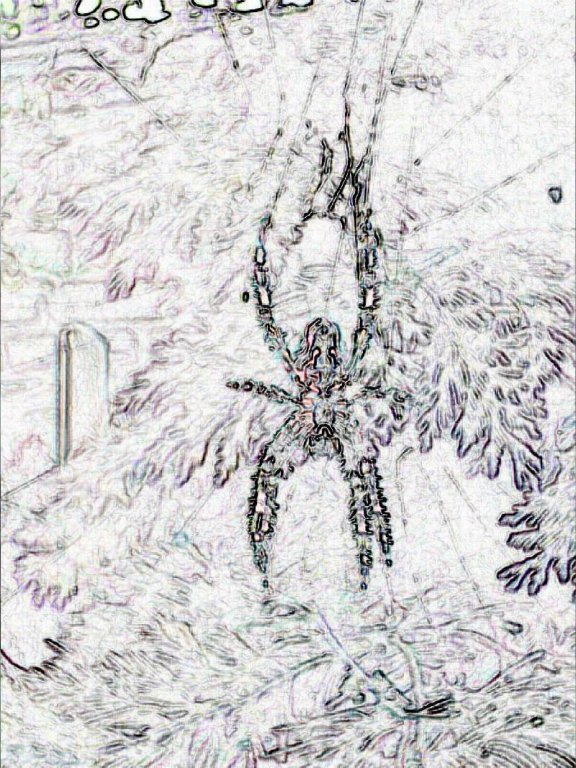 Now I know that you are not afraid of Spiders!