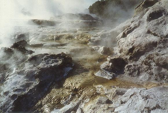 Steaming geysers in Rotorua, New Zealand.