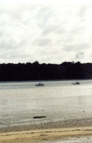 Boats moored on The River Orwell, just outside Ipswich.