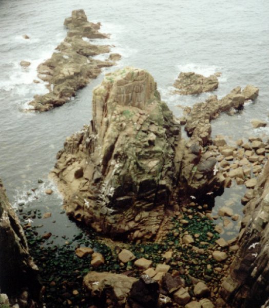 Photograph of Merlin disguised as a rock!