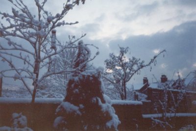 click here for a snowy scene...